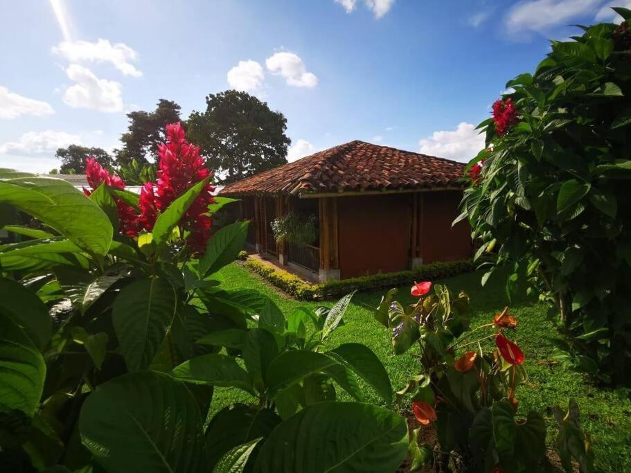 Holiday home El Recuerdo *